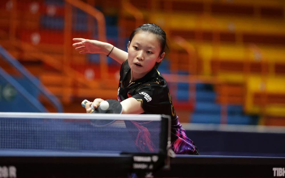 制化的体育 制化的体育